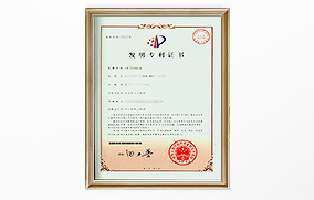 發(fā)明專(zhuān)利 發(fā)明專(zhuān)利