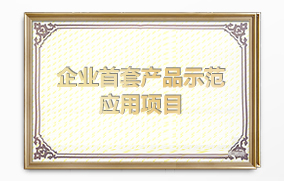 企業(yè)首套產(chǎn)品示范應(yīng)用項(xiàng)目 企業(yè)首套產(chǎn)品示范應(yīng)用項(xiàng)目