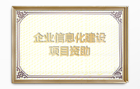 企業(yè)信息化建設(shè)項(xiàng)目資助 企業(yè)信息化建設(shè)項(xiàng)目資助