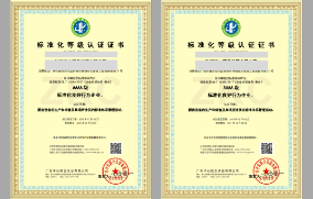 標(biāo)準(zhǔn)化良好行為企業(yè)等級(jí) 標(biāo)準(zhǔn)化良好行為企業(yè)等級(jí)