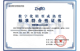 數(shù)字化轉(zhuǎn)型成熟度評估DTMM