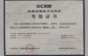 DCMM數(shù)據(jù)管理能力成熟度評(píng)估 DCMM數(shù)據(jù)管理能力成熟度評(píng)估